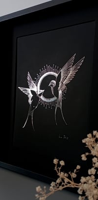 Image 4 of Hirondelles