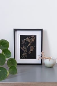 Image 5 of Canari et Curio