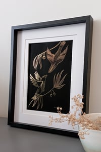 Image 2 of Canari et Curio