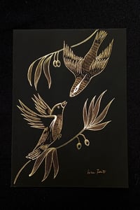 Image 1 of Canari et Curio