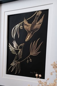 Image 3 of Canari et Curio