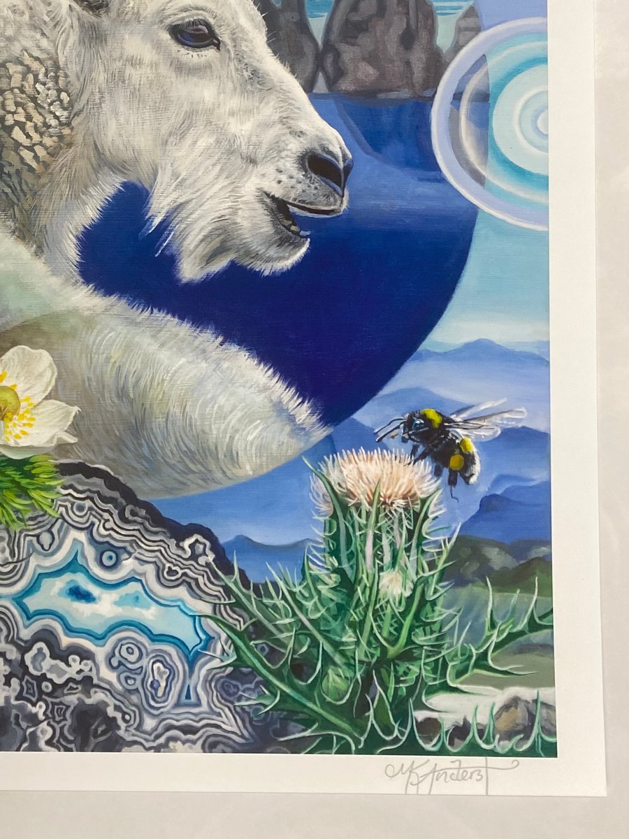 Alpine Throne Room~ limited edition print | Michelle Anderst