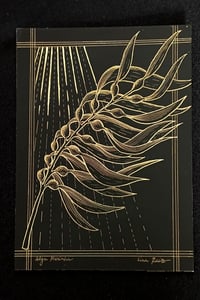 Image 1 of Algue marine