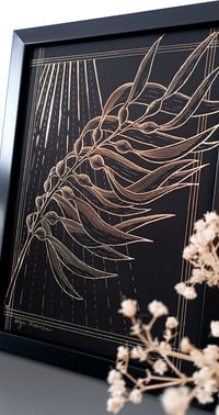 Image 5 of Algue marine