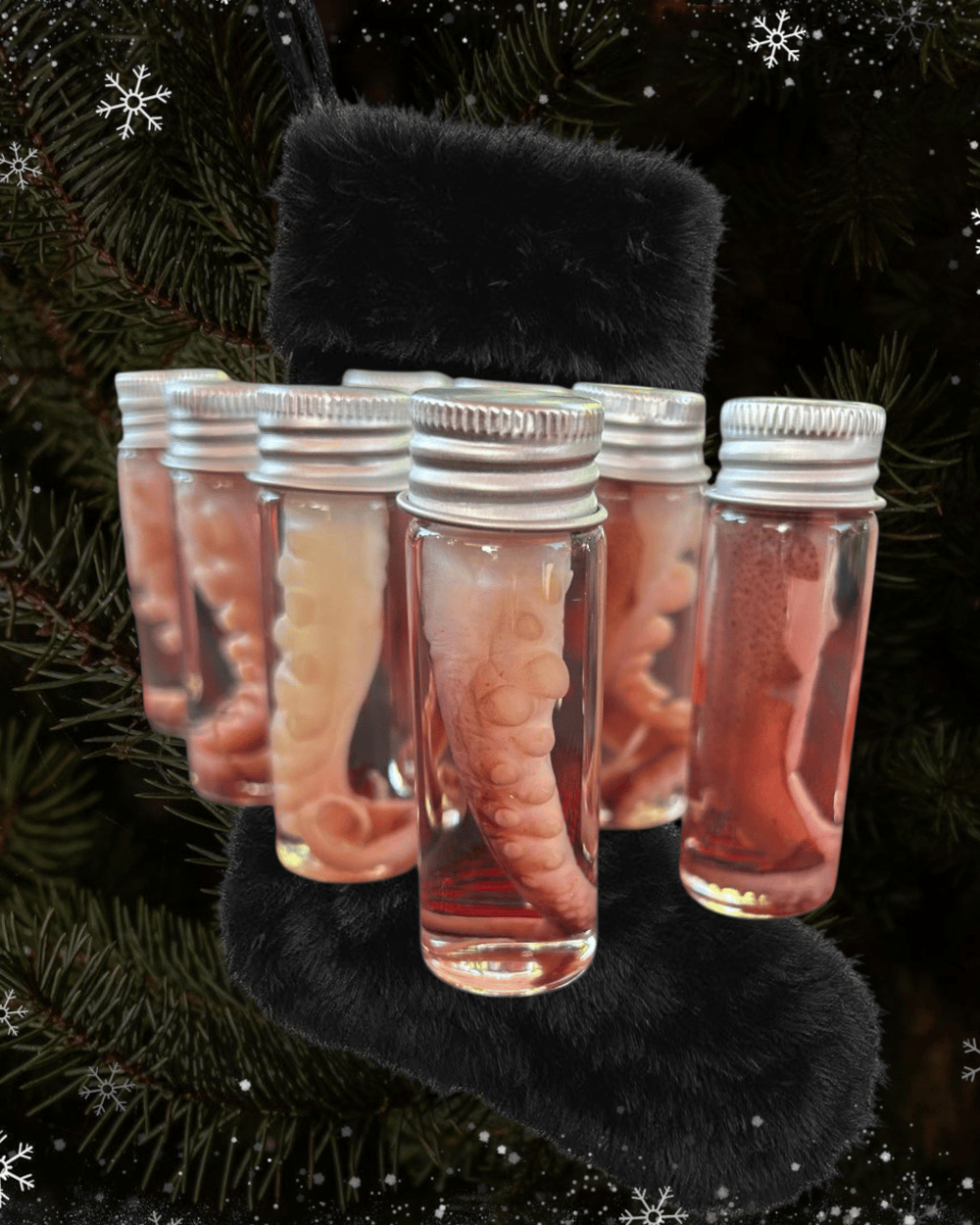 Image of Octopus Tentacles Wet Specimens 