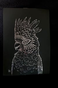 Image 1 of Cacatoès