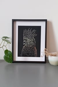 Image 5 of Cacatoès