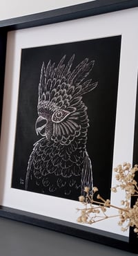 Image 2 of Cacatoès