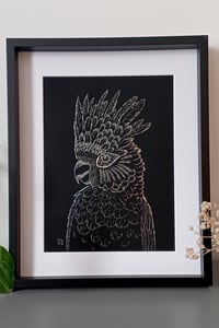 Image 3 of Cacatoès