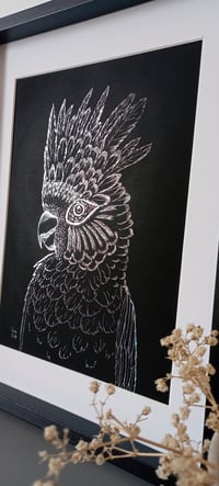 Image 4 of Cacatoès