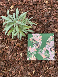 Image 6 of Garden's Whispers