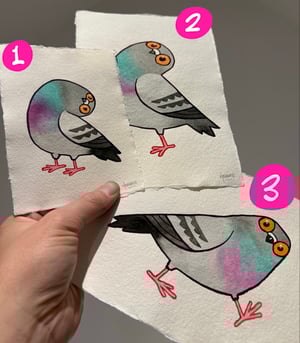 Image of More Pidges