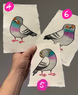 Image of More Pidges