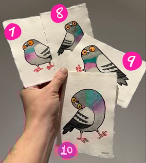 Image of More Pidges