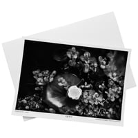 "Quiet" Artwork – Fine Art Print, A4