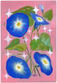 Morning Glory - Gouache Painting