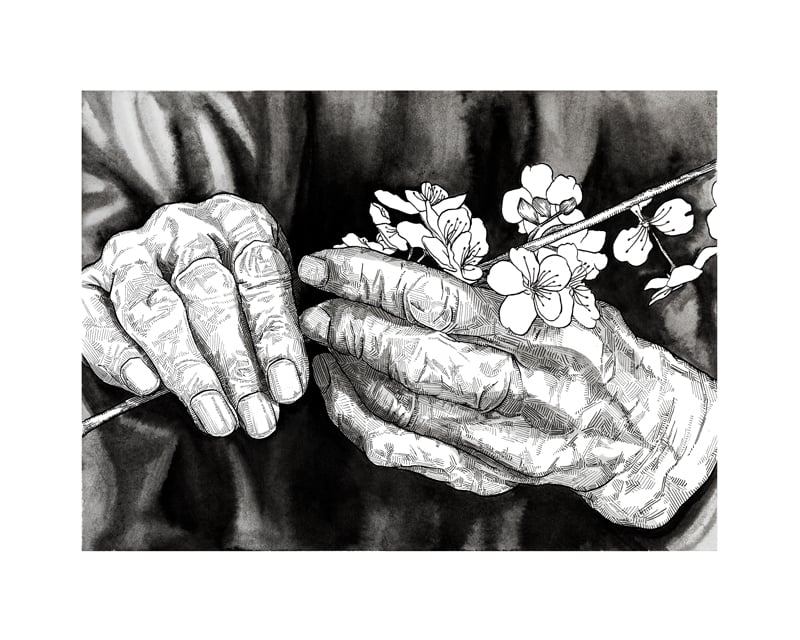 Image of La délicatesse