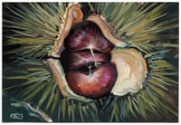 Chestnuts IV - Gouache Painting