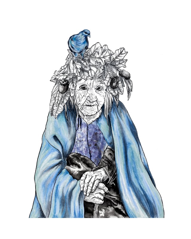 Image of La dame des bois