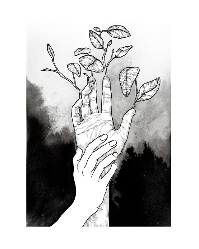 Image of Métamorphose