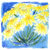 Golden Yarrow - Art Stix Drawing