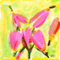 Few-Flowered Shooting Stars - Tempera Paint Sticks