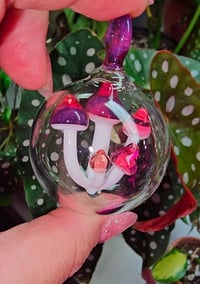 Image 4 of Encapsulated Ornaments 