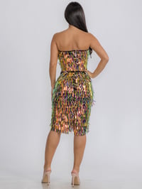 Image 2 of Chameleon Tube & Skirt Set