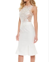 Image 1 of Embroidery Mesh MIDI  Dress