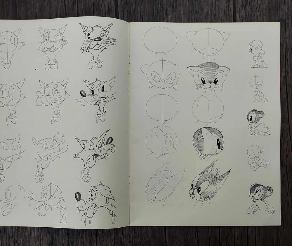 Animated Cartoons for the Beginner