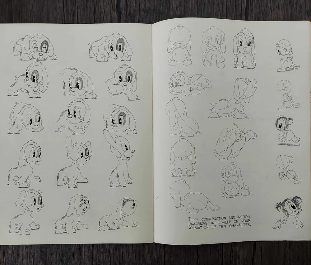 Animated Cartoons for the Beginner