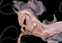 Image 2 of Betta Horse - Print