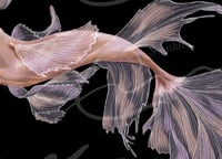 Image 3 of Betta Horse - Print