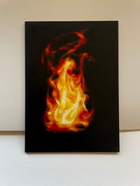 fire study 1