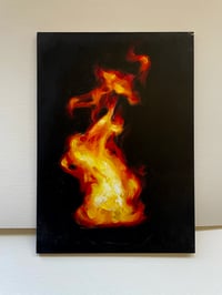 fire study 12