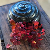 Image 3 of Wall planter 