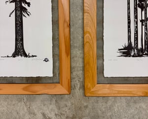 Medium Trio (Mountain Hemlock, Alder Grove, Western Cedar)