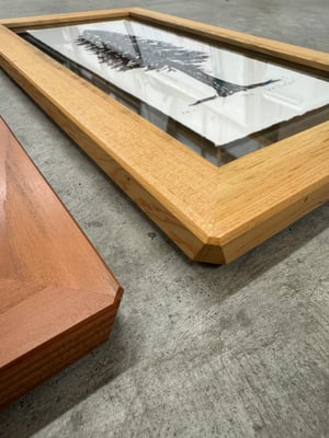 Small Trio (Ponderosa, Redwood, Fir)