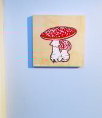 Image 3 of Amanita Glow