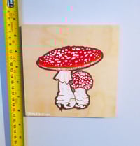 Image 5 of Amanita Glow