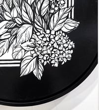 Image 2 of Hydrangea