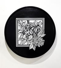 Image 3 of Hydrangea