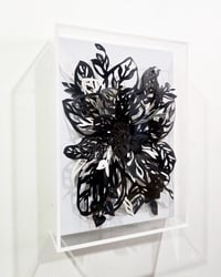 Image 1 of Embellishments