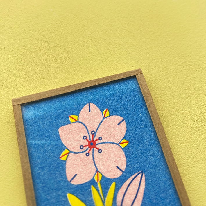 Image of Alsine à feuilles tenues