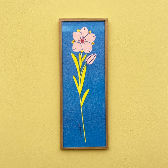 Image of Alsine à feuilles tenues