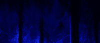 Image 4 of FOREST BLUE