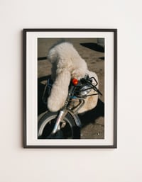 Image 2 of Mongolian bike 