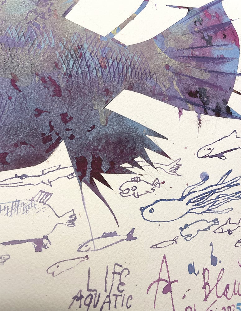 Image of Life Aquatic 2