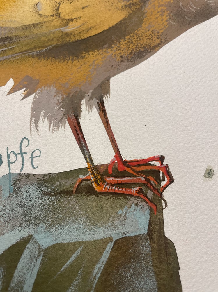 Image of Schnepfe am Abgrund / A snipe starring at the abyss