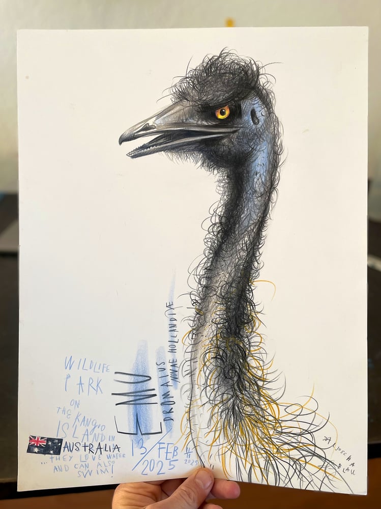 Image of Emu from Australien